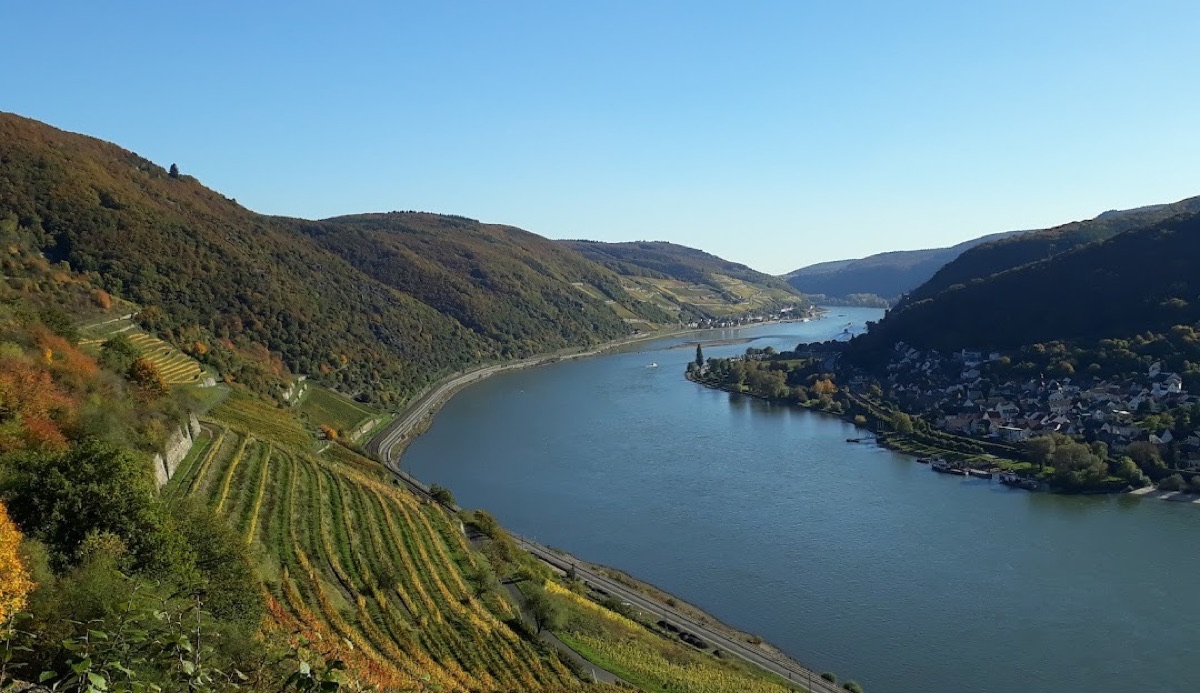 Rheinlandschaft bei Ingelheim