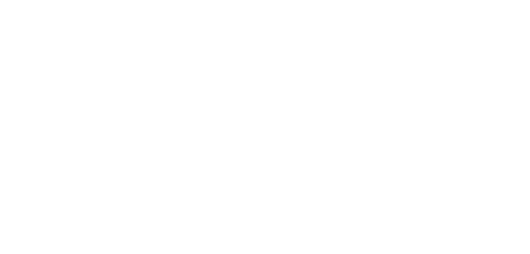 mperial Web Solution – Webdesign & SEO Agentur aus Ingelheim