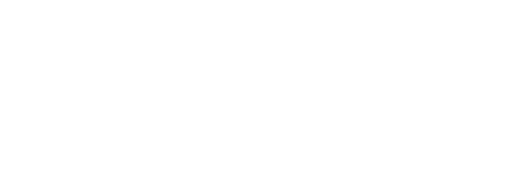 Schnell Gruppe Logo – Erdbau, Abbruch & Recycling im Rhein-Main-Nahe-Gebiet